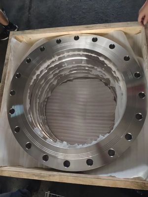 STANDAARD de FLENScs SS PN6 van DIN EN1092 aan PN63-de GESMEDE FLENS van het ROESTbewijs OLIE