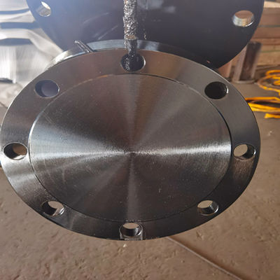 Klassenb Klasse D AWWA C207-07 Ring Blind Flange A105N F304 304L F316 316L