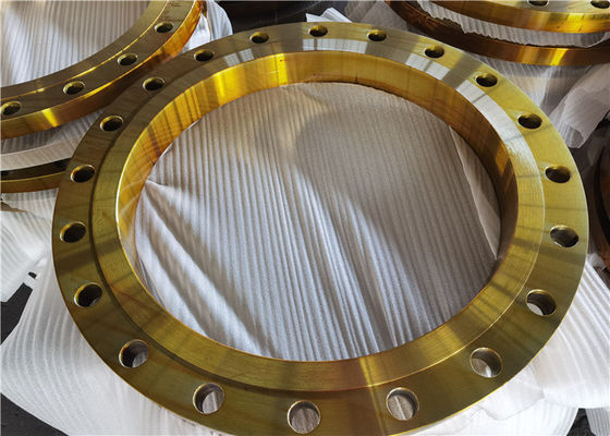 DE FLENS WNRF 150LBS 300LBS 600LBS 1500LBS A105N F304 304L F316 316L VAN DE LAShals RF