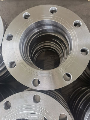 Plaat Gesmede van de Flenswn Rf van CT20 PN10 PN16 PN25 GOST 12820-80 GOST 33259 GOST 12821-80